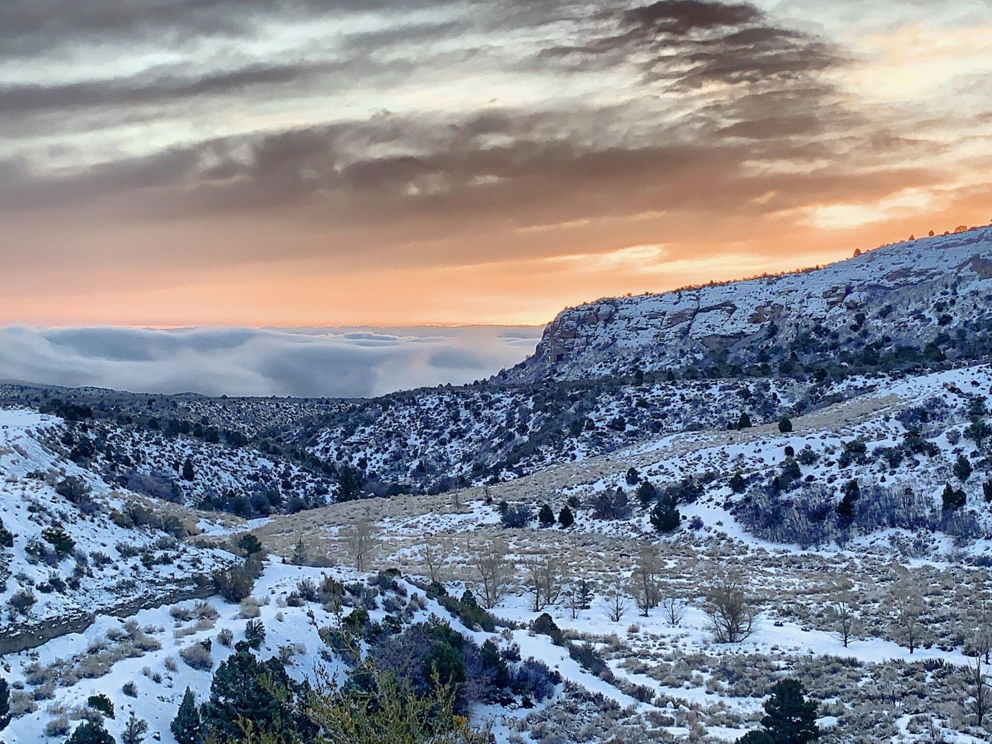 The Resort On Mount Charleston מראה חיצוני תמונה